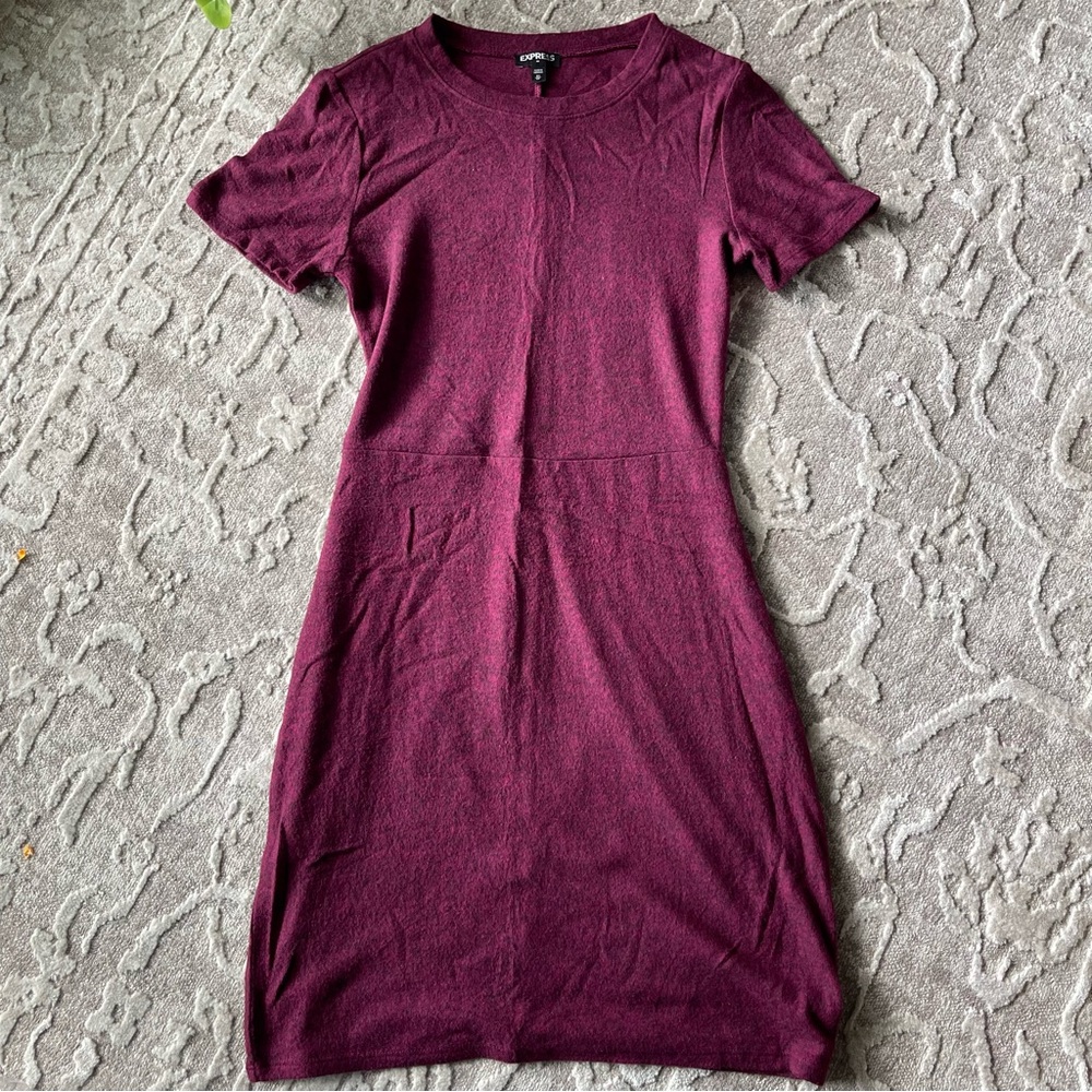 Express Deep Wine Women’s Mini Dress XS